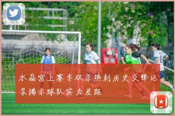 水晶宫上赛季双杀热刺历史交锋记录揭示球队实力差距